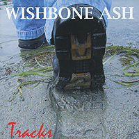 Wishbone Ash Tracks (2 CD) Формат: 2 Audio CD (Jewel Case) Дистрибьюторы: Elephant Records, ООО Музыка Великобритания Лицензионные товары Характеристики аудионосителей 2010 г Сборник: Импортное издание инфо 6356f.